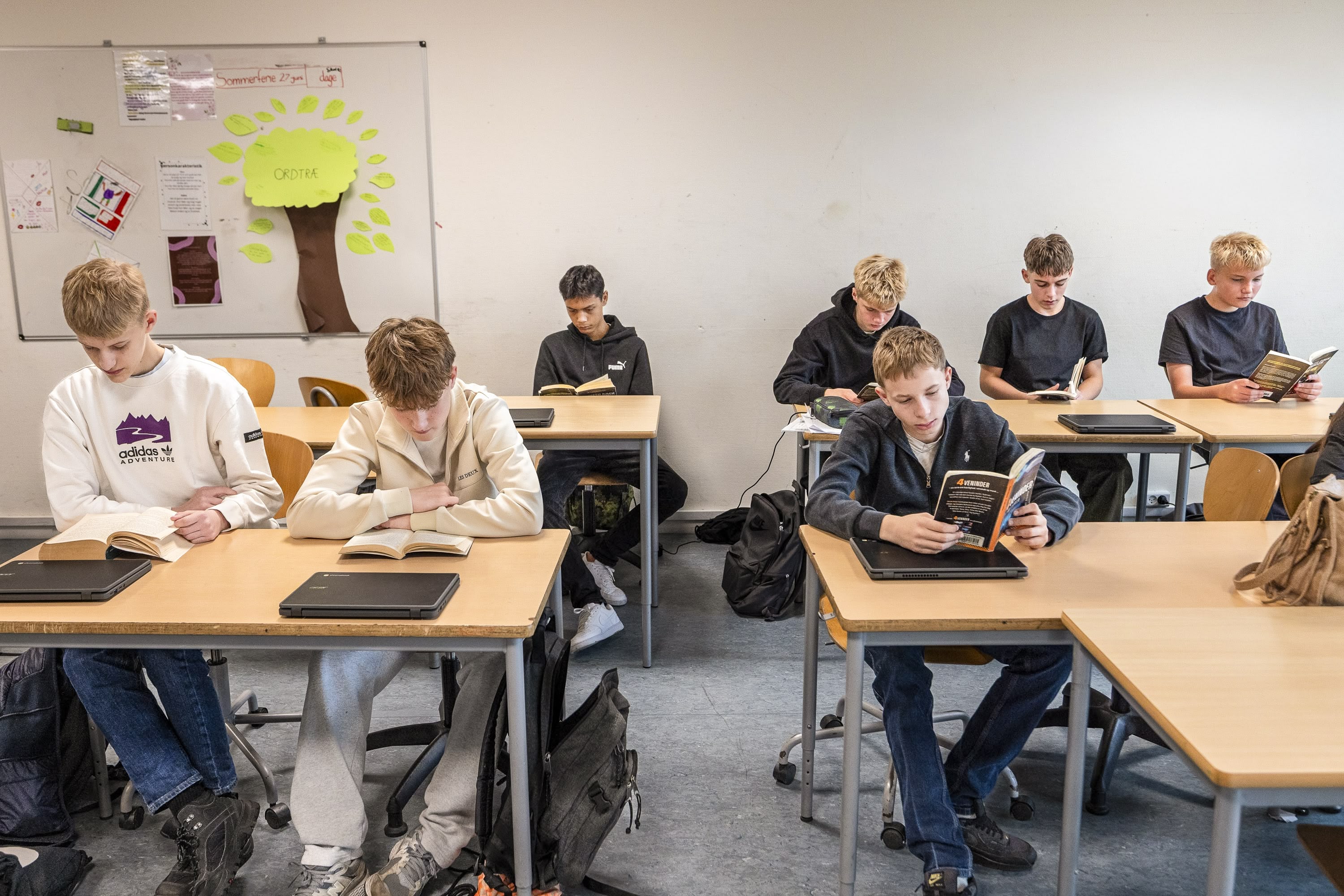 Læsning I Klassen 3 Web